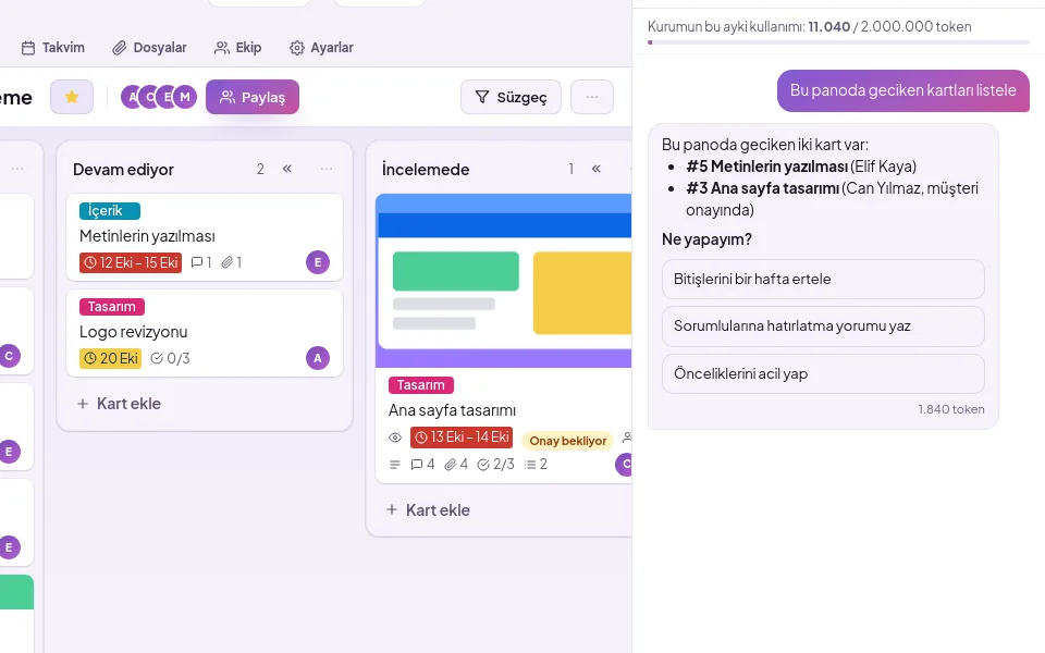 demo ekranı (demo verisiyle)