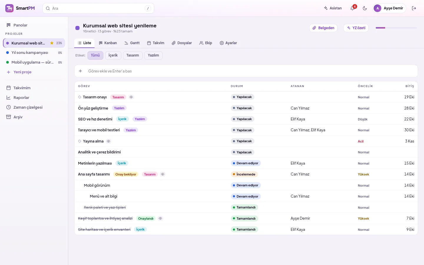 demo ekranı (demo verisiyle)