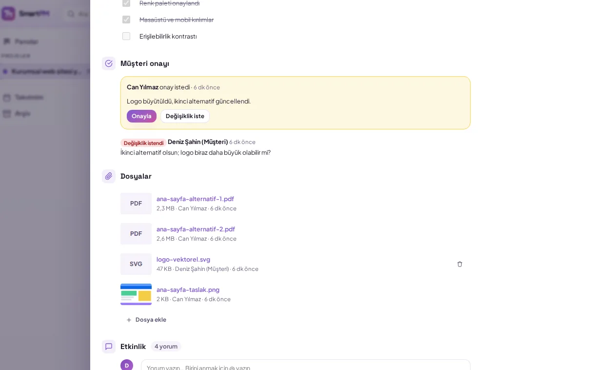 demo ekranı (demo verisiyle)